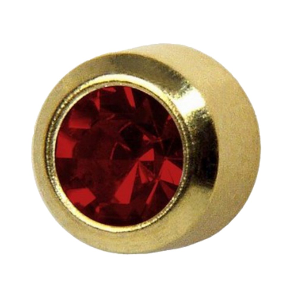 Studex Select Regular Gold Plated January Garnet Bezel Earrings