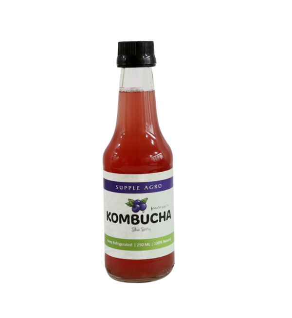 Kombucha Blueberry 250ml