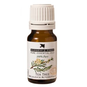 B&F Tea Tree Essential Oil 10ml